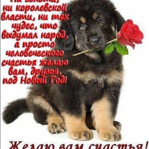 Meet your Posher, Dmitry